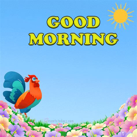 gif good morning funny|beautiful good morning gif funny.